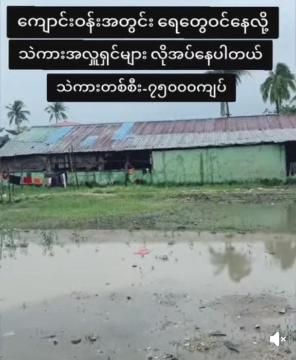 ဆွမ်းကျောင်းဆောက်လုပ်ပြီးစီးရေး အလှူတော်